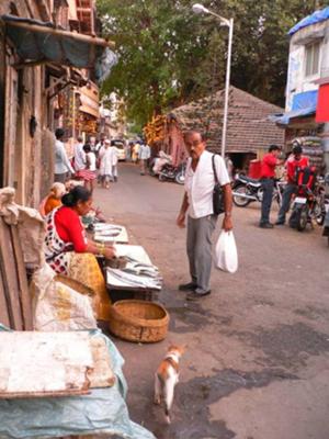 Buying Fresh Fish In Chimbai